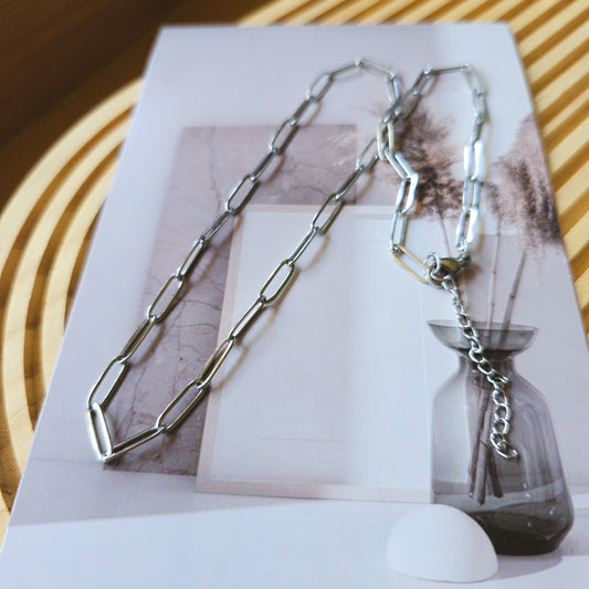 Paperclip Silver Elegant necklace