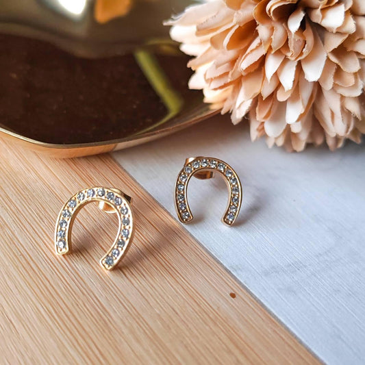 U shape elegant earrings