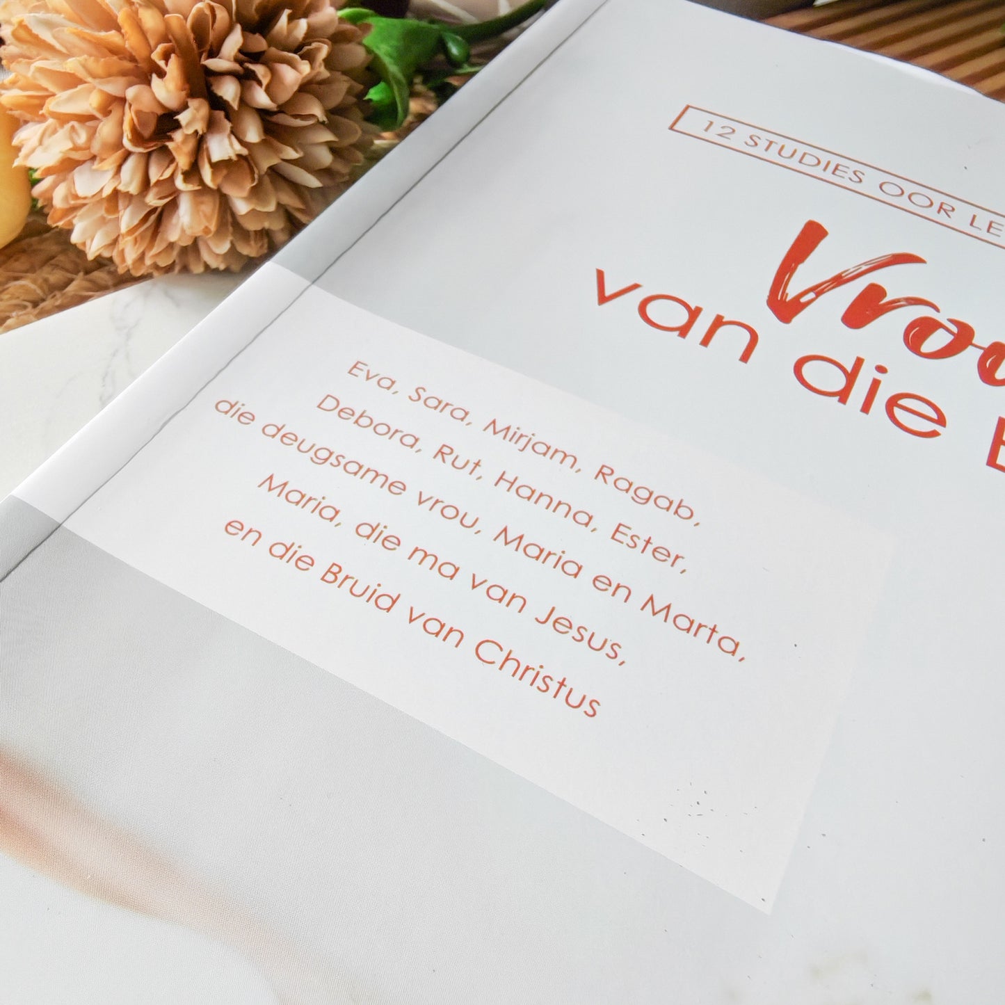 Vroue Van Die Bybel Bybelstudie (Sagteband)